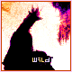 Wild_x_Wind's Avatar